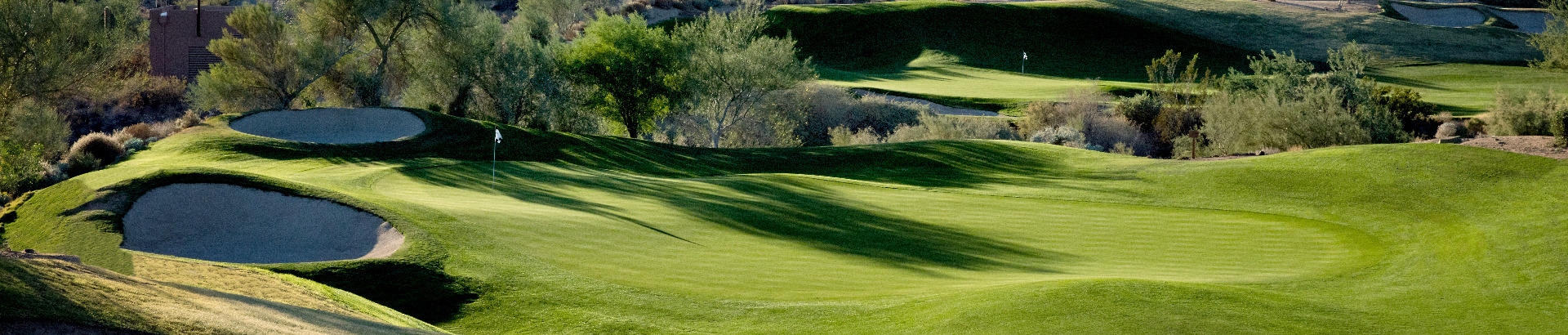 Image of golf ball on tee on grass.